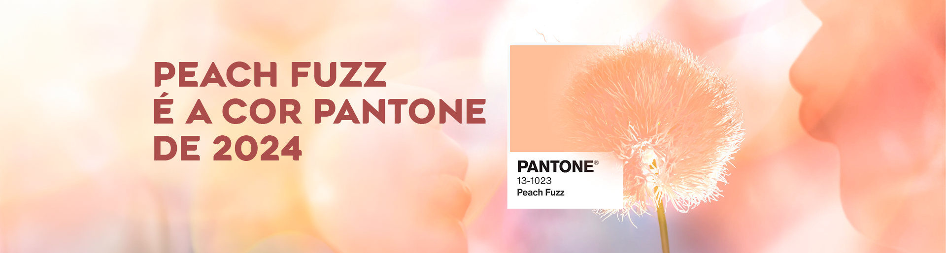 Peach Fuzz é a cor Pantone de 2024 | Blog Virtua Brasil